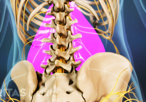 What part of the back is most commonly affected by back injury and back pain?